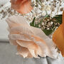 Paper Rose And Dried Gypsophila Bouquet, thumbnail 5 of 7