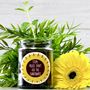 Personalised 'Don't Kill Me' Sunflower Jar Grow Kit, thumbnail 10 of 12