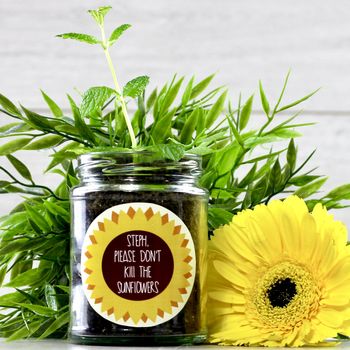 Personalised 'Don't Kill Me' Sunflower Jar Grow Kit, 10 of 12