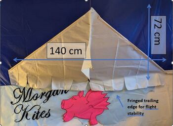 Personalised Delta Kite From Morgan Kites, 5 of 8