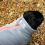 Pug Polartec Water Resistant Dog Coat, thumbnail 3 of 9