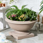 Wide Terracotta Urn Planter, thumbnail 1 of 4