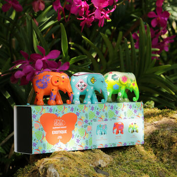 ‘Exotique’ Elephant Gift Set Three X 7cm Elephants, 8 of 8