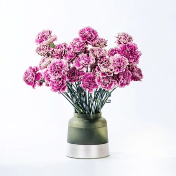 Pink Carnations Fresh Flower Bouquet, 2 of 3