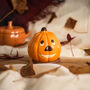 Trick Or Treat Halloween Pumpkins, thumbnail 4 of 5