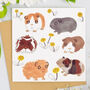 Birthday Card Guinea Pigs Blank Card, thumbnail 1 of 2
