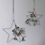 Eucalyptus Hanging Star Christmas Decoration Duo, thumbnail 1 of 3