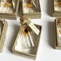 Personalised Handmade Tiny Sunflowers In Bottles Favours For Weddings Or Parties, thumbnail 10 of 11
