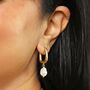 Stainless Steel Rectangular Drop Earrings In Gold, thumbnail 2 of 2