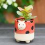 Bee Ladybird Planter With Choice Of Plant, thumbnail 3 of 3