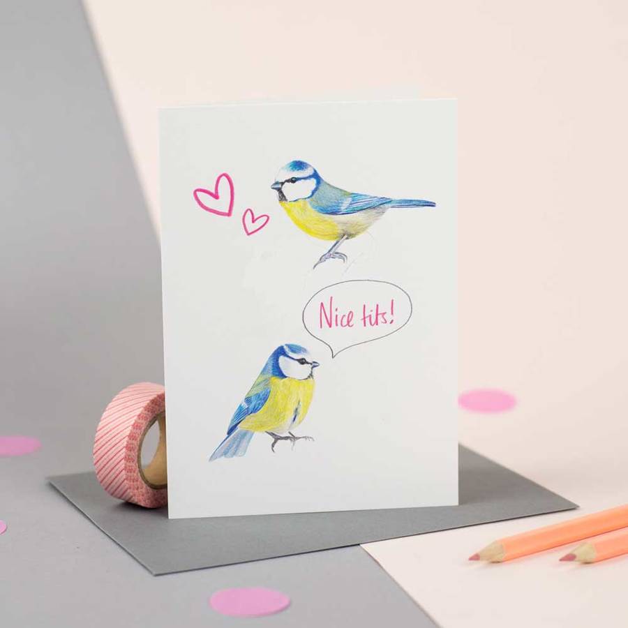 Funny Blue Tits Valentines Day Pun Card By Newton And The Apple