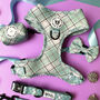 Dog Harness Set Bundle Collar Lead Set Sage Green Check, thumbnail 3 of 12
