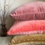Plush Velvet Cushion Cover Redwood Pink, thumbnail 3 of 3