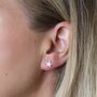 Sterling Silver Star Stud Earrings, thumbnail 6 of 8