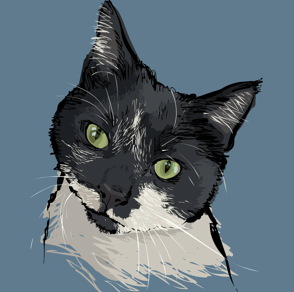 Personalised Cat Portrait By Scribble Print Studio | notonthehighstreet.com