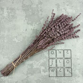 Dried Lavender Bunch, 2 of 2