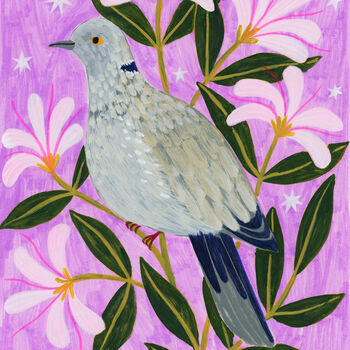 Collared Dove Bird Art Poster, 3 of 4