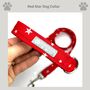 Red Star Dog Collar For Boy Or Girl Dogs, thumbnail 1 of 3