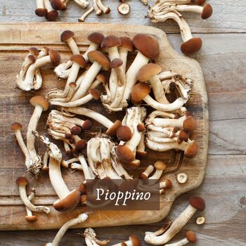 Organic Gourmet Mushroom Hamper, 9 of 11