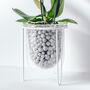 Orla, Glass Planter With Stand, Ideal For Orchids, thumbnail 10 of 10