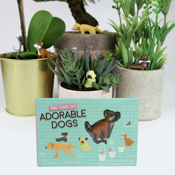Adorable Dogs Plant Pot Markers, 2 of 4