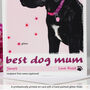 Personalised 'Rosie' Dog Mother's Day Card, thumbnail 2 of 7