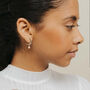 Lunar Crescent Earrings, thumbnail 4 of 6