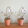 Wooden 'Potted' Snowdrop Flower Home Decoration, thumbnail 3 of 5