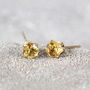 Yellow Citrine Stud Earrings In Silver Or Gold, thumbnail 6 of 11