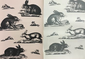 Rabbits Wallpaper, 6 of 8