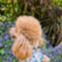 Shipwrecked Nautical Dog Harness, thumbnail 8 of 11