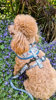 Shipwrecked Nautical Dog Harness, 8 of 11