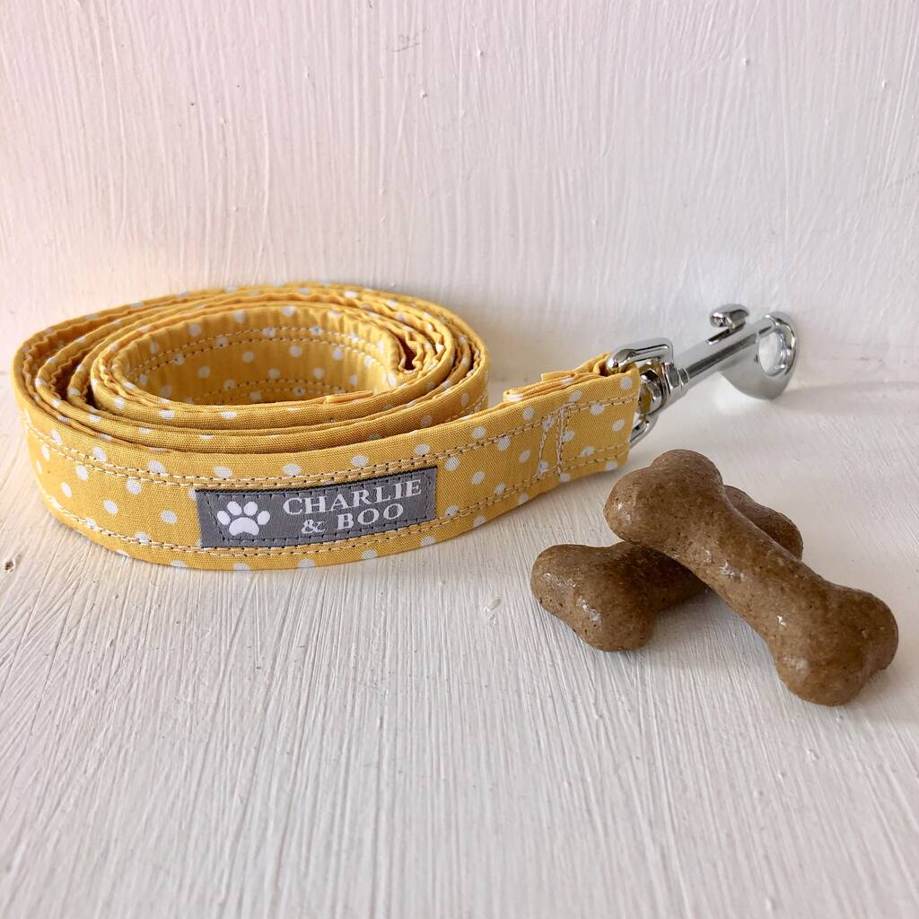 Yellow Dog Lead/Leash For Girl Or Boys By Charlie and Boo