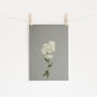 White Flowers Photographic Still Life Print, thumbnail 1 of 2