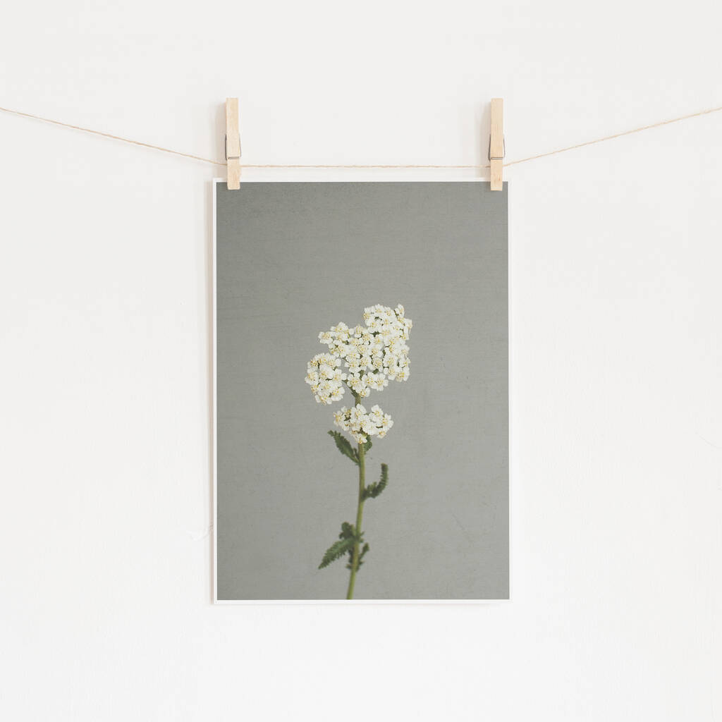 White Flowers Photographic Still Life Print, 1 of 2