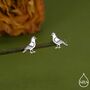 Cute Pigeon Bird Stud Earrings In Sterling Silver, thumbnail 1 of 12