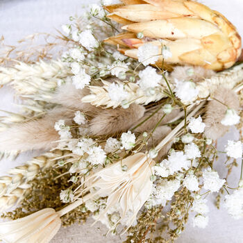 Dried Flower Posy With Protea And Gypsophila, 3 of 6