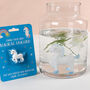 Grow Your Own Magical Unicorn, thumbnail 1 of 3