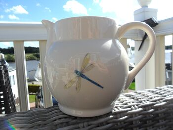 Extra Large Dragonfly Dutch Jug, 10 of 12