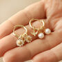 Daisy Pearl And Bee Charm Hoop Earrings In Gold Plating, thumbnail 1 of 9