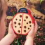 Personalised Wooden Ladybird Hotel, thumbnail 2 of 4