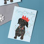 Slinky The Naught Christmas Sausage Dog Greeting Card, thumbnail 1 of 3