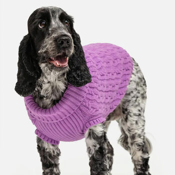 Plain Knitted Purple Dog Jumper, 2 of 5
