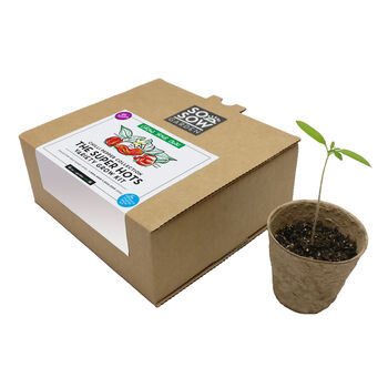 Chilli Pepper Variety Grow Your Own Kit, 5 of 6