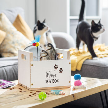 diy cat toy box