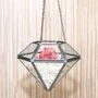Hanging Diamond Vase Terrarium Christmas Present, thumbnail 1 of 4
