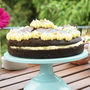 Large Gluten Free Chocolate Cake Mix Jar, thumbnail 3 of 3