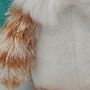 Mini Ginge Cuddly Companion Cat Soft Toy, Gift Box, thumbnail 7 of 7