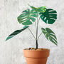 Mini Monstera Deliciosa Potted Paper Plant, thumbnail 3 of 6