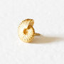 Ammonite Lapel Pin/Tie Pin – Silver/Gold Vermeil Plated, thumbnail 1 of 7